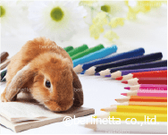 競合他社と戦えるホームページ