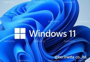 windows11